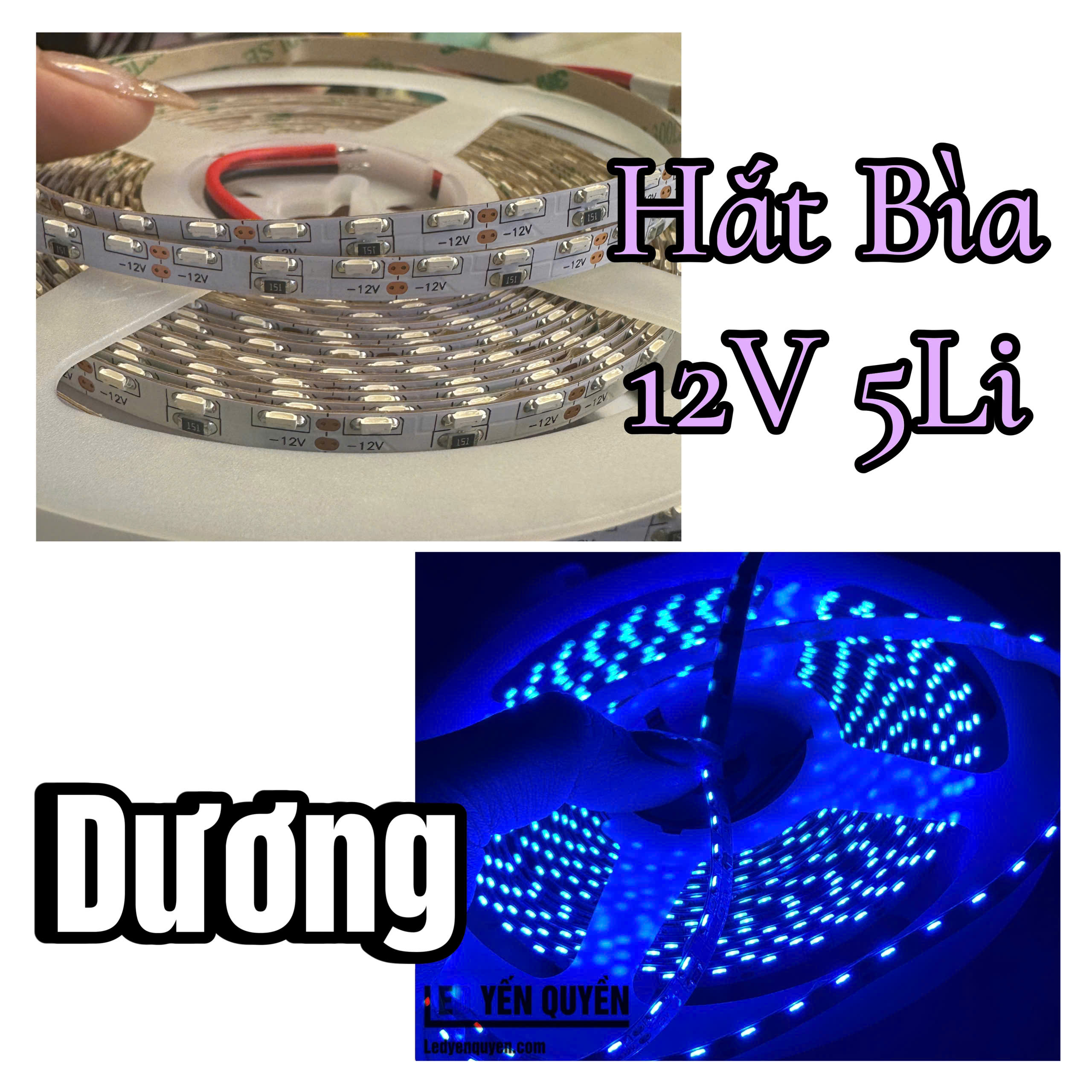 day-hat-bia-12v-xanh-duong