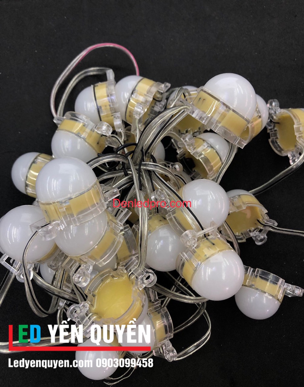 LED Bát Đơn Màu 24v (30mm) Nắp Đúc 