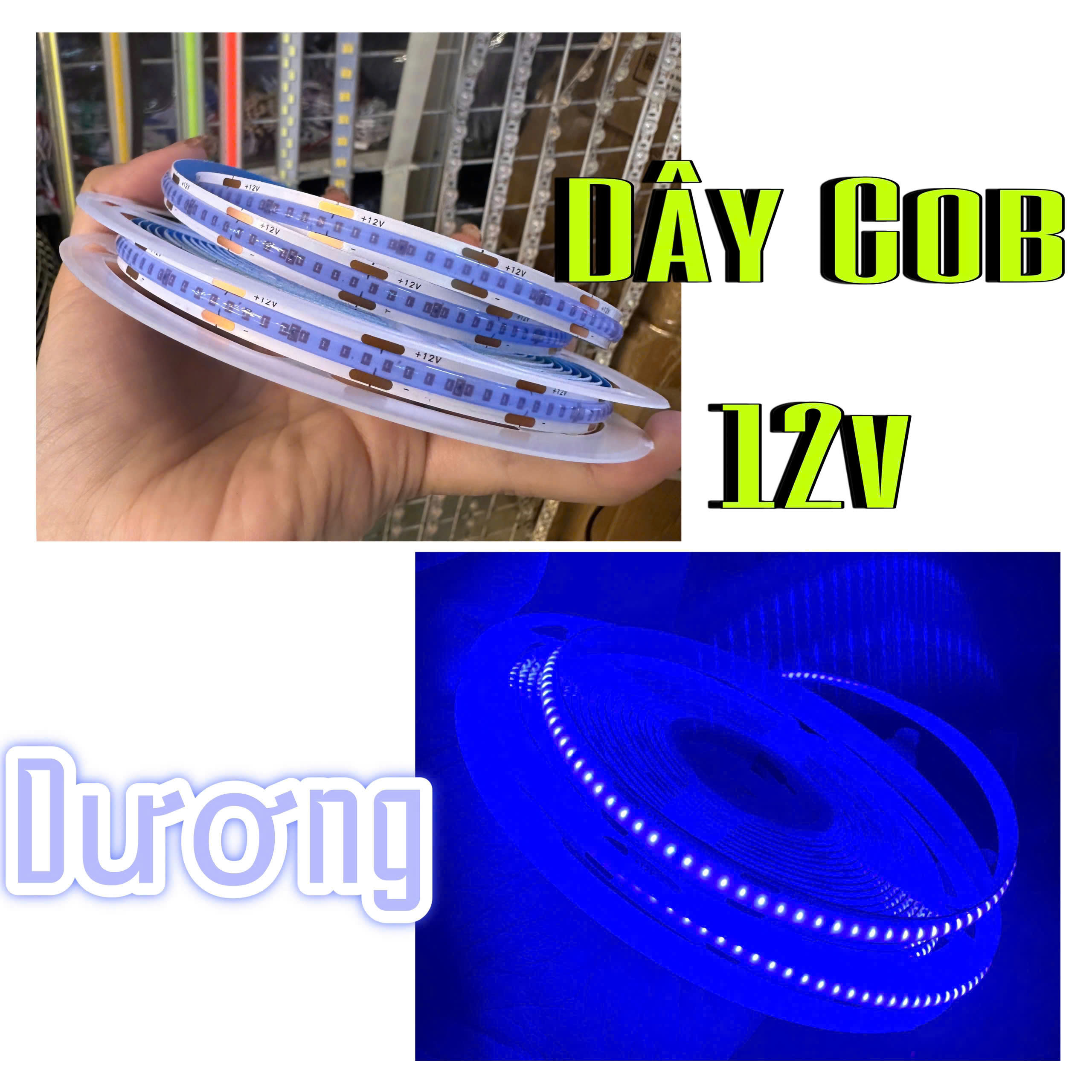 Dây COB 12V XANH DƯƠNG Dây COB 12V XANH DƯƠNG