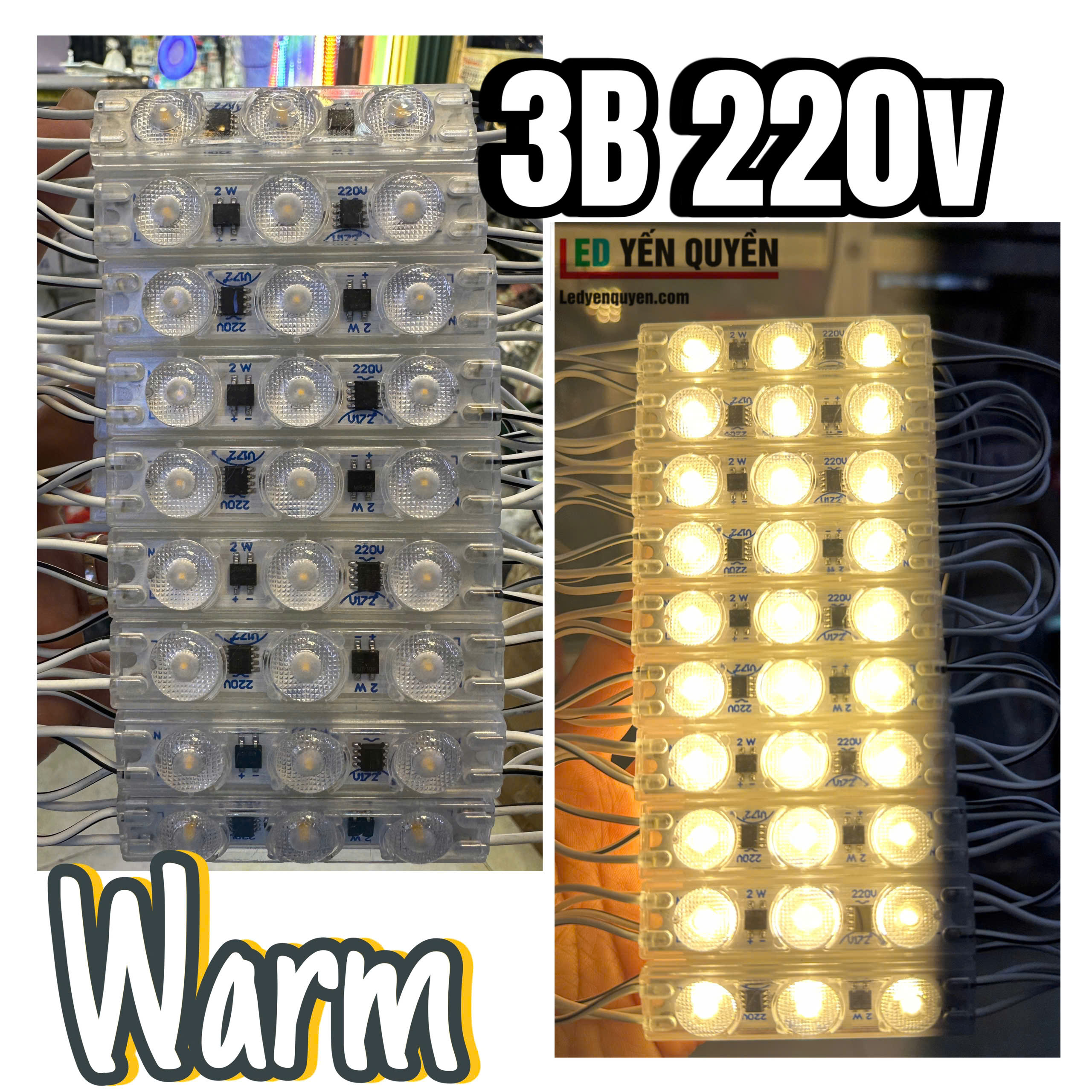 3b-220v-warm