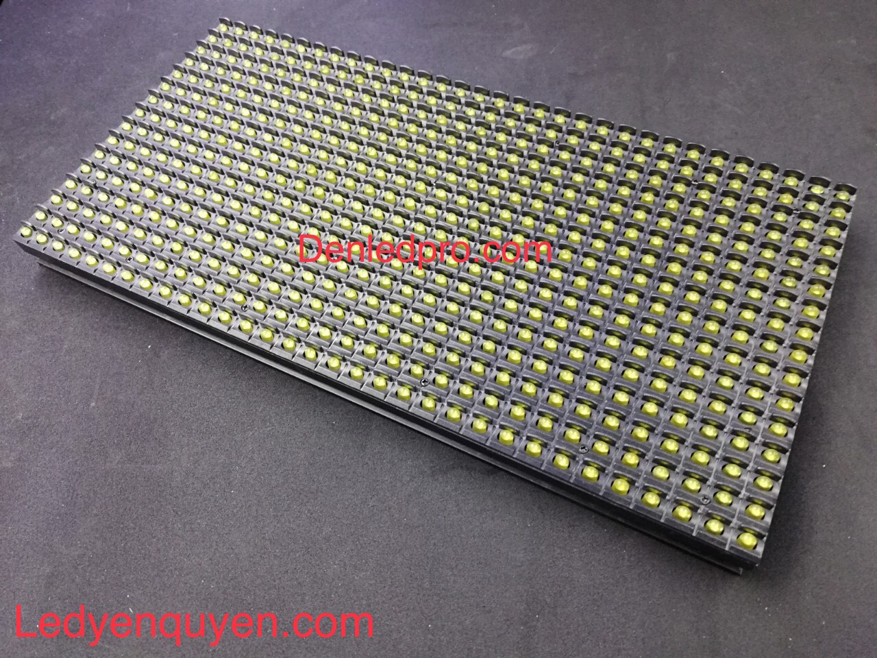 P10 ÄÆ¡n Màu Vàng  P10 ÄÆ¡n Màu Vàng