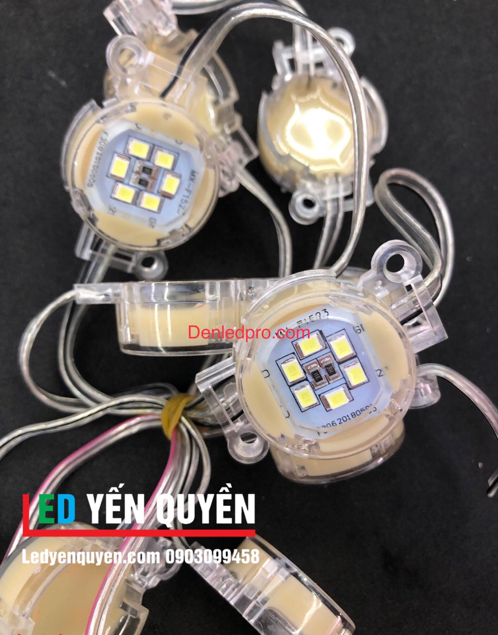 LED Bát ÄÆ¡n Màu 24v (30mm) trong LED Bát ÄÆ¡n Màu 24v (30mm) trong